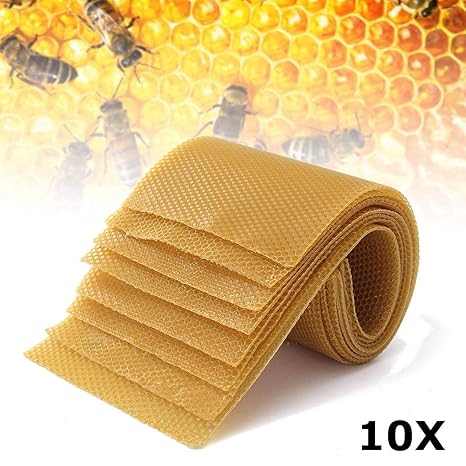 Amazon Com Beekeeping Tools 10pcs Honeycomb Wax Frames
