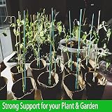 TSKDKIT 30cm Bamboo Garden Stakes with 50 Twist Ties - Plant Support view 6