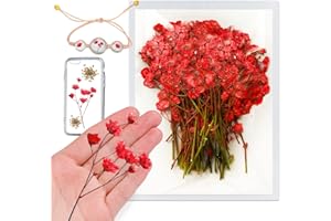 HQT Red Dried Flowers Gypsophila for Resin Mold, 42PCS Natural Real Pressed Babysbreath Flowers with Stem, Dry Flowers for Resin Jewelry DIY Phone Case Decor Crafts Candle Making