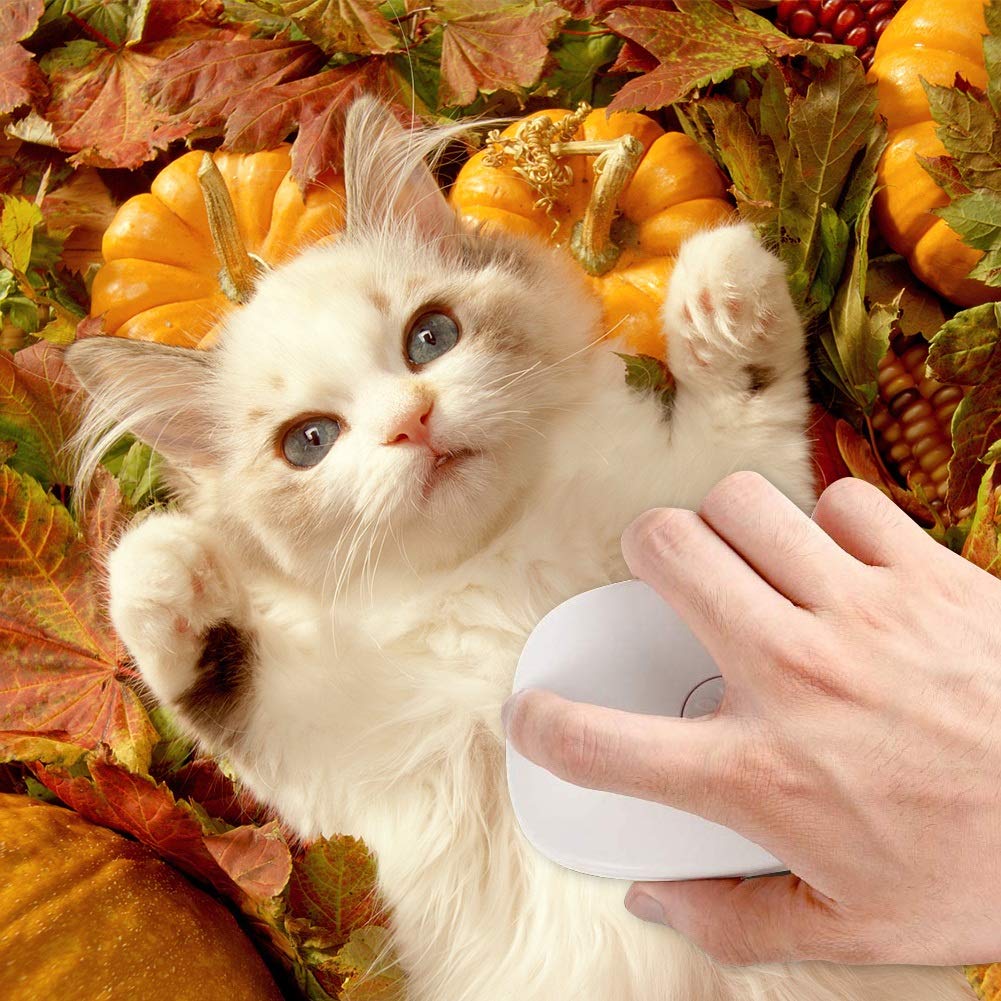 Cat Brush,Cat Brush For Shedding and Grooming,Slicker Brush Cat,Deshedding Brush For Dogs,Dematting Brush For Dogs,Cat Brush For Short Haired Cats,With Cleaning Button: Beauty
