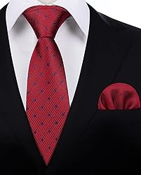 HISDERN Mens Red Ties Classic Woven Polka Dot Silk