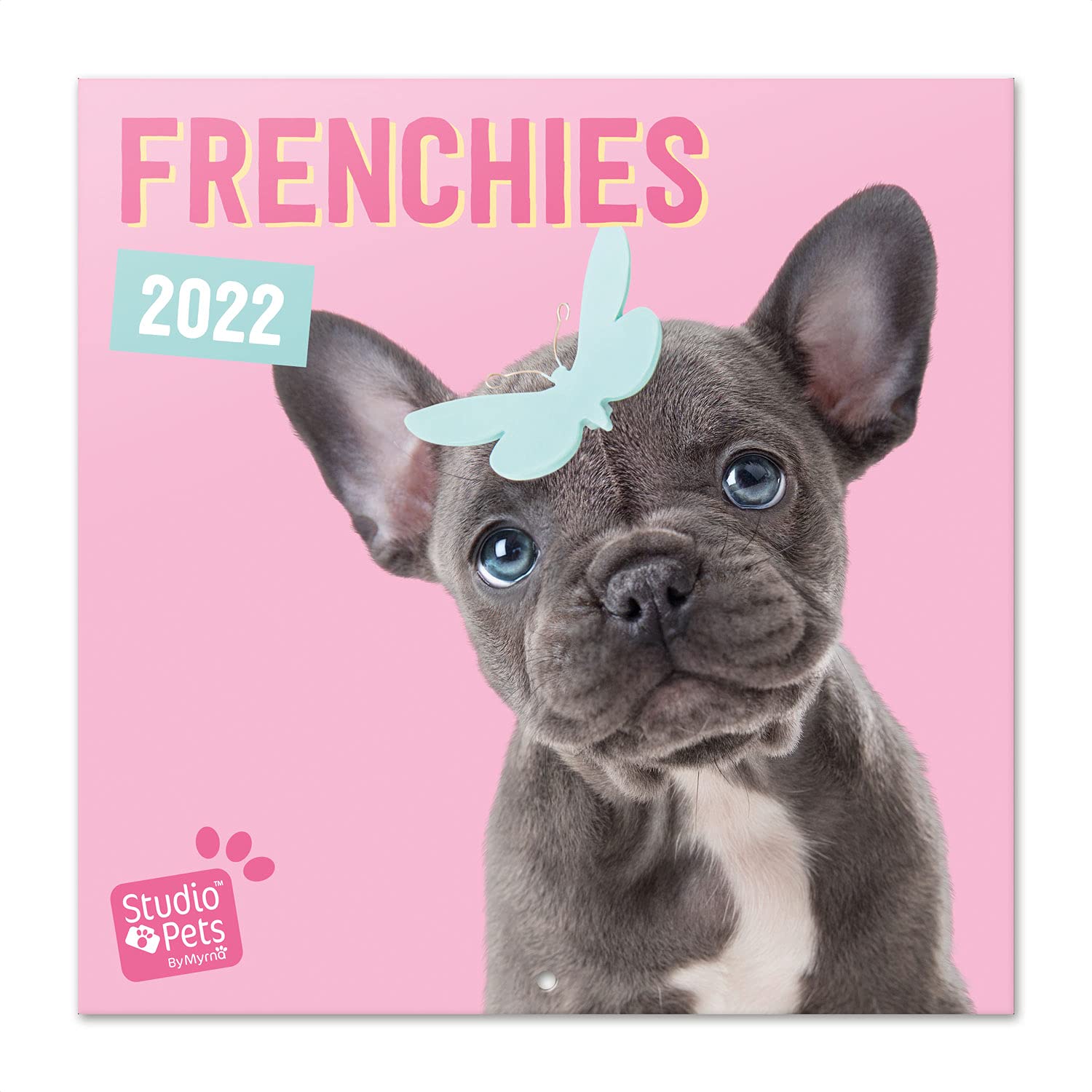 Grupo Erik: Official Studio Pets Frenchies 2022 Wall Calendar, 2022 Calendar, 12' x 12' Square Wall Calendar 2022, Family Calendar 2022, Dogs Calendar 2022 - Kids Calendar 2022 โ image 1