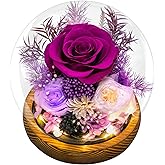 Preserved Flowers for Mom - Preserved Purple Roses in Glass Dome with LED Light for Girlfriend, Eternal Real Flowers for Women, Unique Long-Lasting Gift to Celebrate Christmas (Prime Delivery)