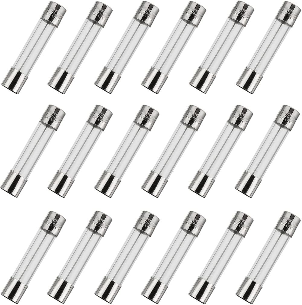 BOJACK 6x30 mm Fast-Blow Glass Fuse 10 A 250 V Pack of 18