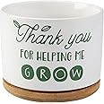 DOMG Teachers Appreciation Gift, Ceramic Succulent Plant Pot Small Flower Planter for Indoor Outdoor Use, Thank You for Helping Me Grow