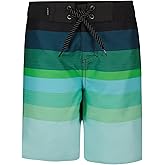 Quiksilver Boys' Regular Fit Quick Dry UPF 50+ Swim Boardshorts