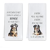 Cilrii Bernese Mountain Dog Gifts Kitchen Towels, Gifts for Dogs Lovers Dish Tea Towels, Funny Bernese Mountain Dog Decorative Hand Towel for Kitchen, 16x24 Inch Set of 2