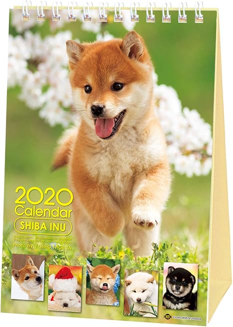 Shiba Inu Desktop Calendar 2020 With Adorable Shiba Dog Puppies Pictures Desktop Calendar 2020