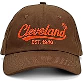 JZYEGSW Vintage Embroidered Baseball Cap, Adjustable Dad Hat for Men and Women