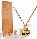 LOVSPA Pumpkin Vanilla Chai Reed Diffuser | Comfort