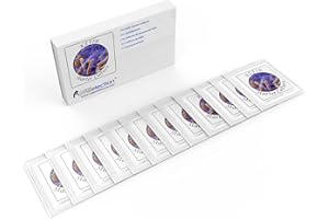 NATURAL PROBIOTIC SELECTION Kefir Starter Culture - Pack of 12 Freeze Dried Sachets (12)