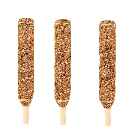 LIVEONCE Coco Pole -Moss and Coir Stick for Indoor, House and Plant Creepers Support 1 FEET -Pack of 3 -Color -Natural