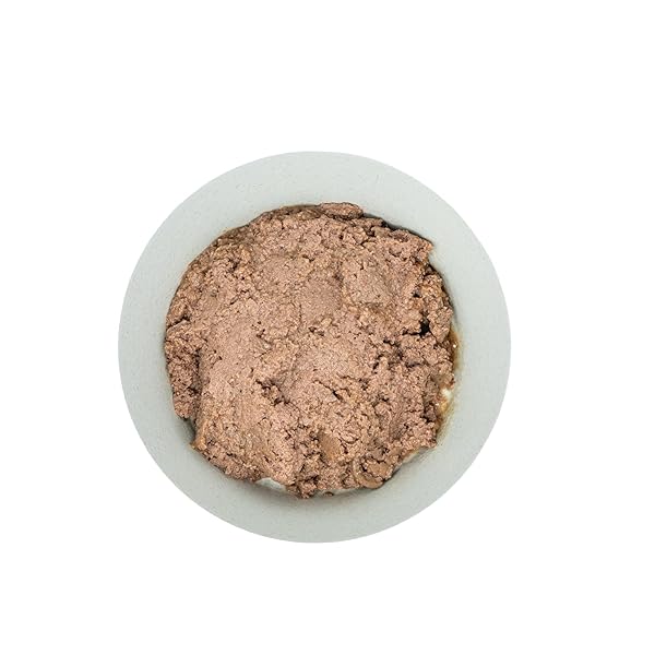 AMAZON BASICS PUPPY CHOPPED GROUND DINNER CANNED DOG FOOD, WITH CHICKEN & BEEF, 13.2OZ (PACK OF 12)