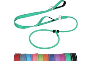 Joytale Tangle-Free Slip Leads for Dogs, 6 FT Slip Leash with Padded Double Handle, Reflective Nylon Training Leash for Small Medium Dogs 15-40 Lbs, Turquoise