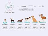 Unique style paws Dog Collar with Bowtie Adjustable Cotton Bandana Bow Tie view 7