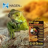 Exo Terra Night Heat Lamp 50 W Blue Glass Reptile Night Light view 2
