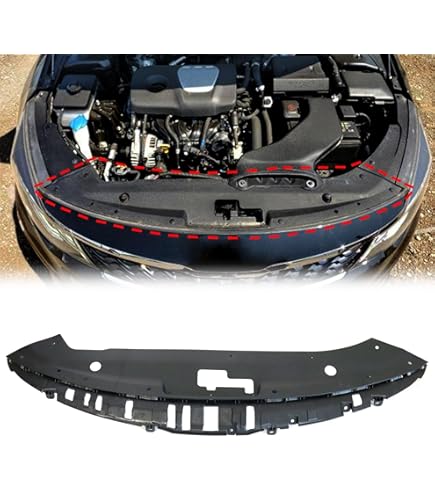 Amazon.com: Genuine OEM 86351-Q4000 Front Bumper Grille, Radiator