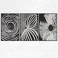 SIGNWIN 3 Piece Framed Canvas Wall Art Black and White Flower Canvas Prints Home Artwork Decoration for Living Room,Bedroom - 16
