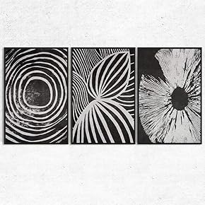 SIGNWIN 3 Piece Framed Canvas Wall Art Black...