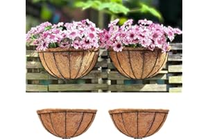 Maxona 2 Pack 12 Inch Large Wall Planter, Rail Hanging Basket with Coco Coir Liner for Outdoor Plants, Fence Porch Balcony Ga