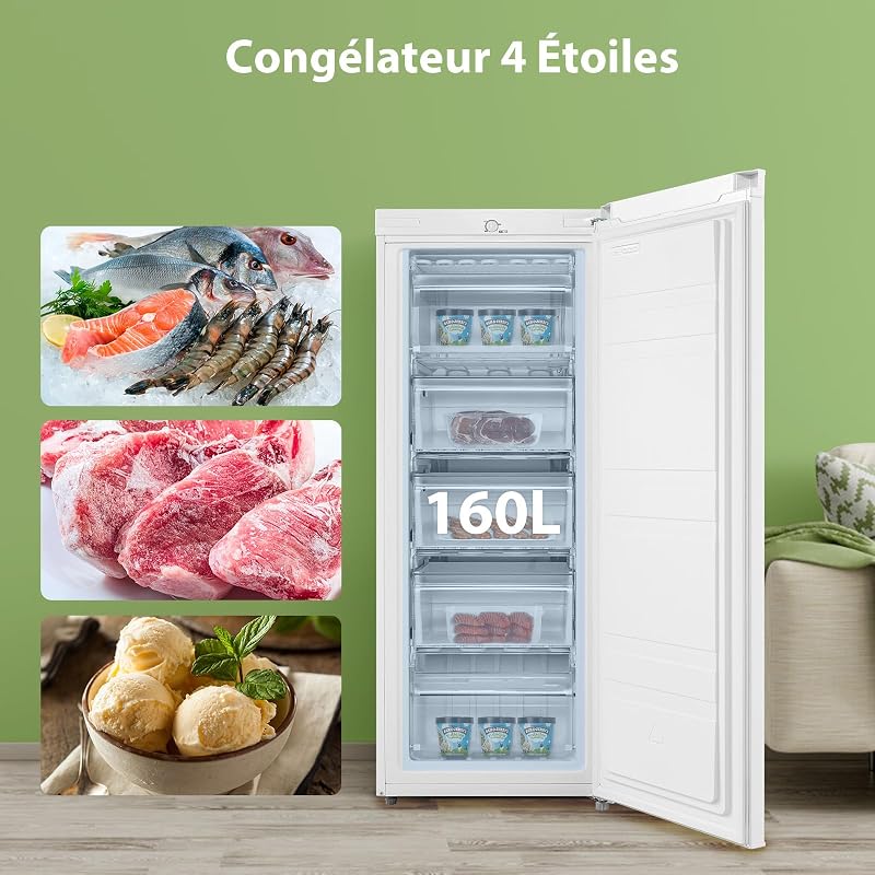 ' 160L Congélateur Armoire, Réglage de la température, Blanc