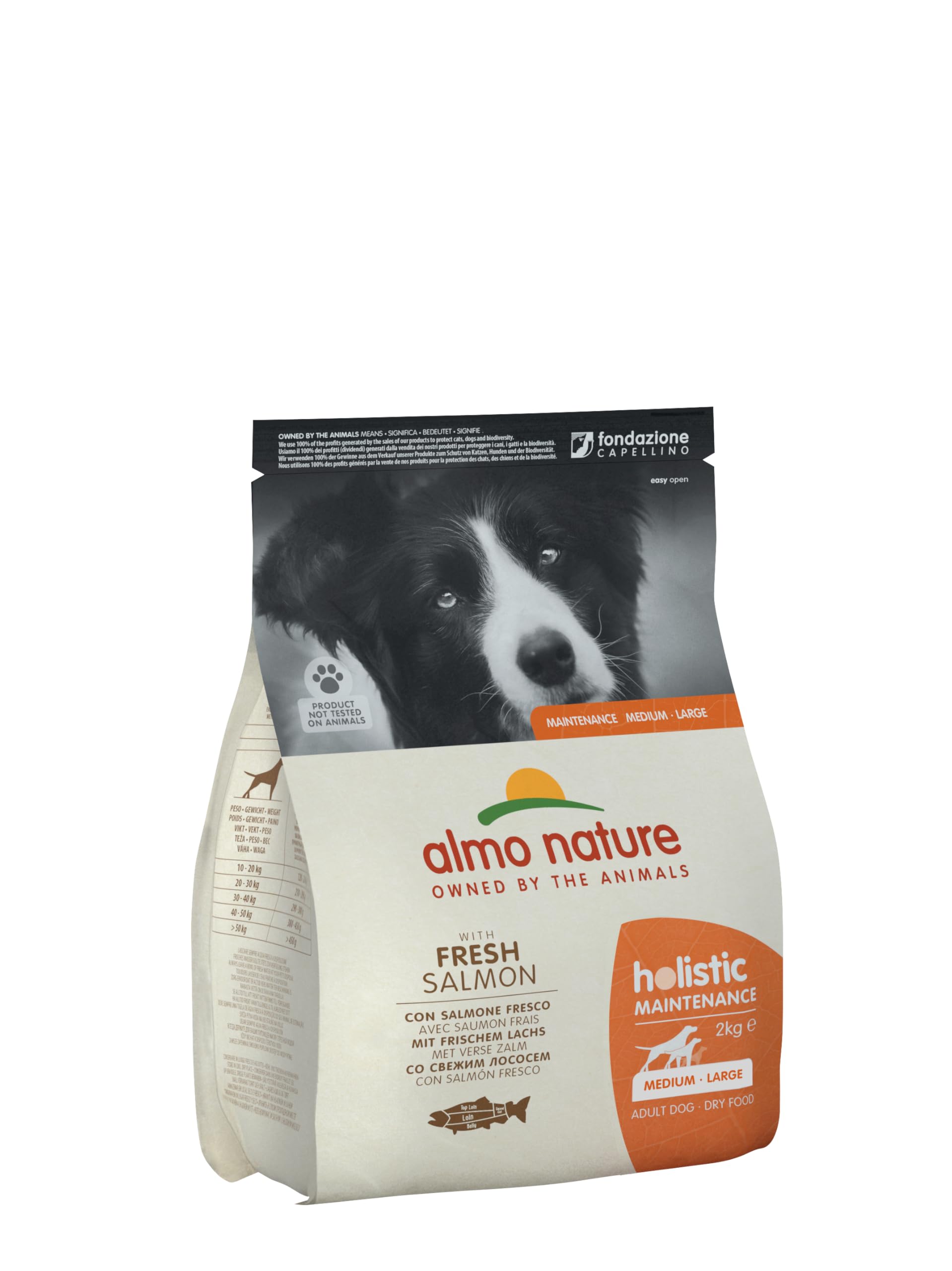Almo Nature Dog Food Holistic Medium with Salmon and Rice, 2 Kg