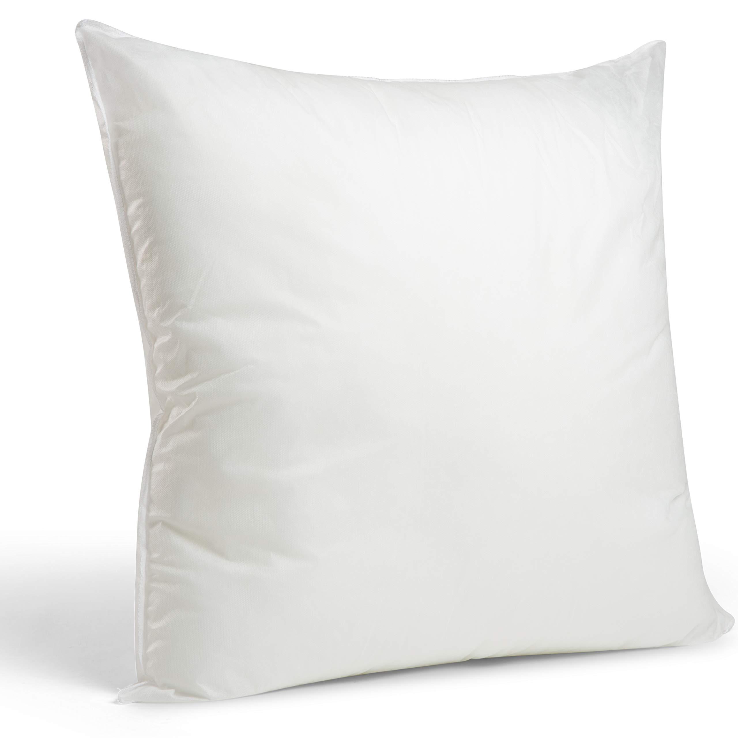 Pictures Of Hypoallergenic Pillow at Celeste Picard blog