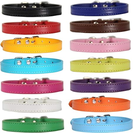 puppy id collars