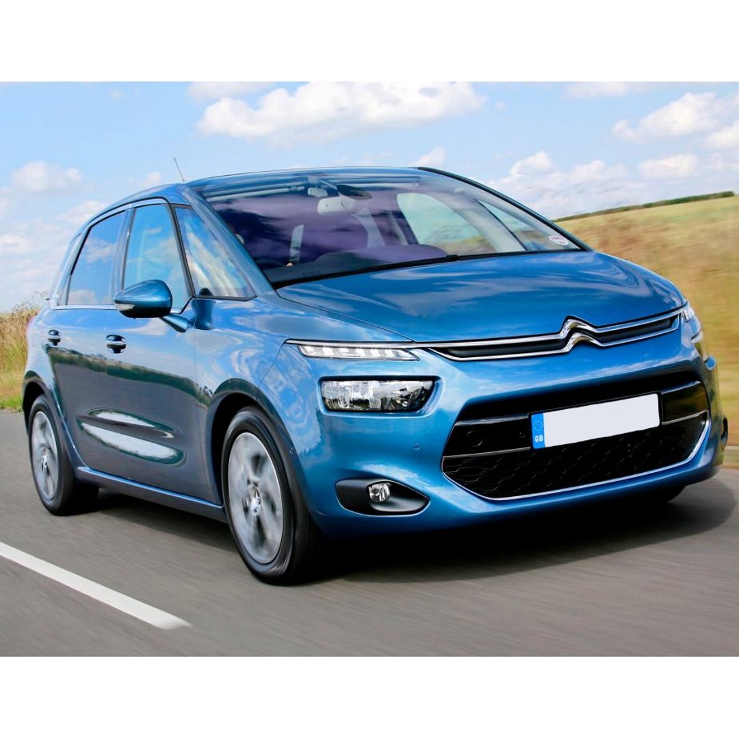 dog crates for hatchback cars