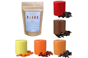 REDDIG-GLO Candle Dye for Candle Making - Made in The USA - 5 Autumn Colors - Easy to Use - Highly Concentrated - Candle Making Supplies for Soy Wax or Paraffin Wax - Great for Any Candle Maker - 50 Dye Chips