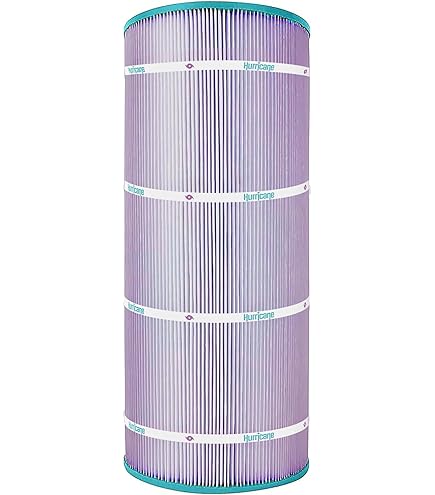 Amazon.com: Hurricane Filters HF8409-01P Platinum Purple Pool