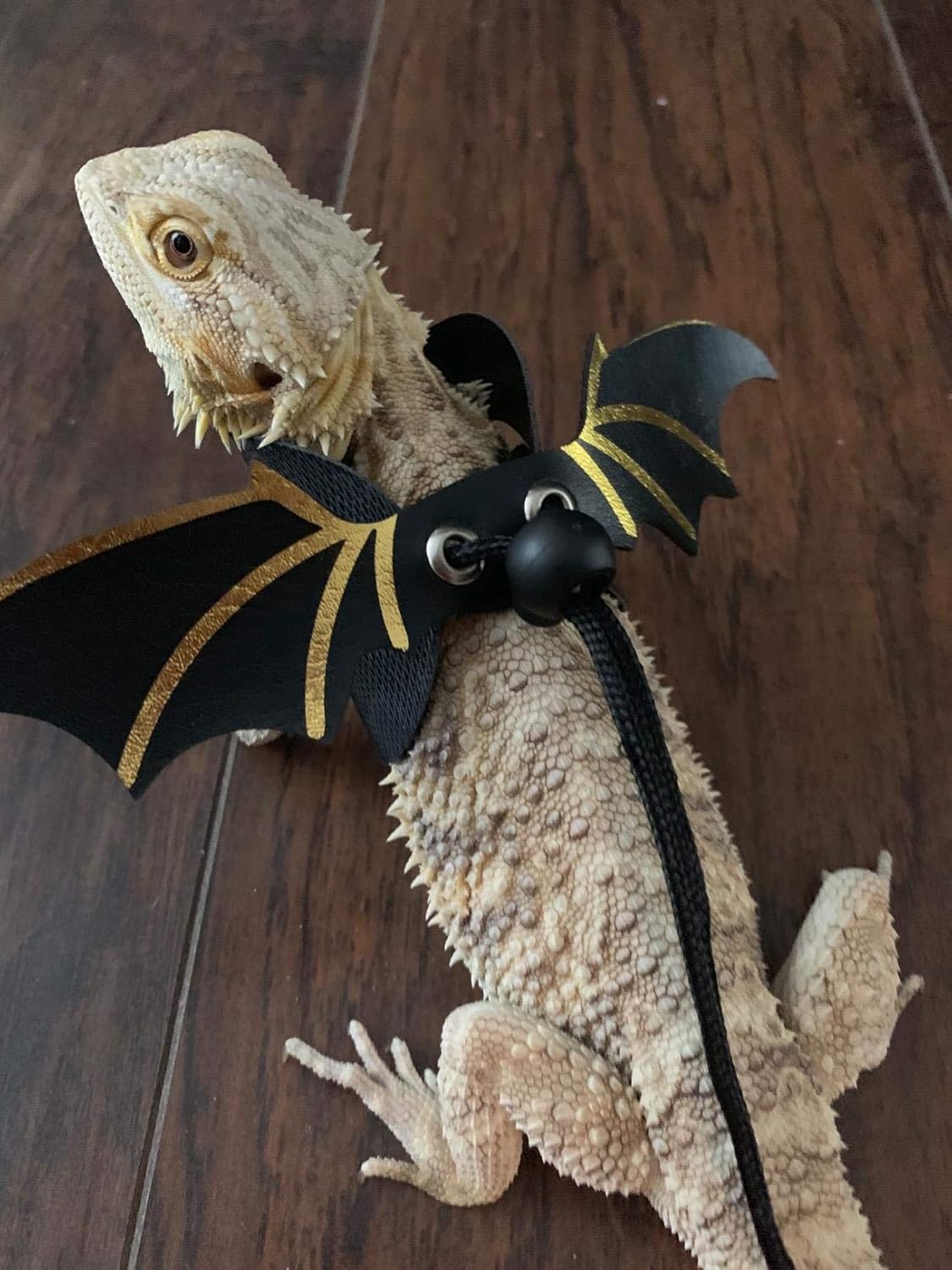 crested gecko leash