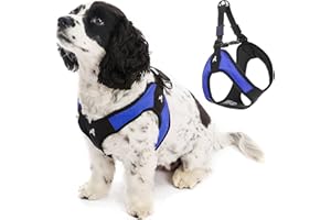 Gooby Escape Free Easy Fit Harness - Blue, Small - No Pull Step-in Patented Dog Harness with Quick Release Buckle for Small to Medium Dogs