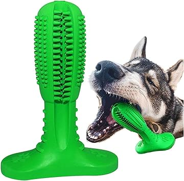 canine toothbrush