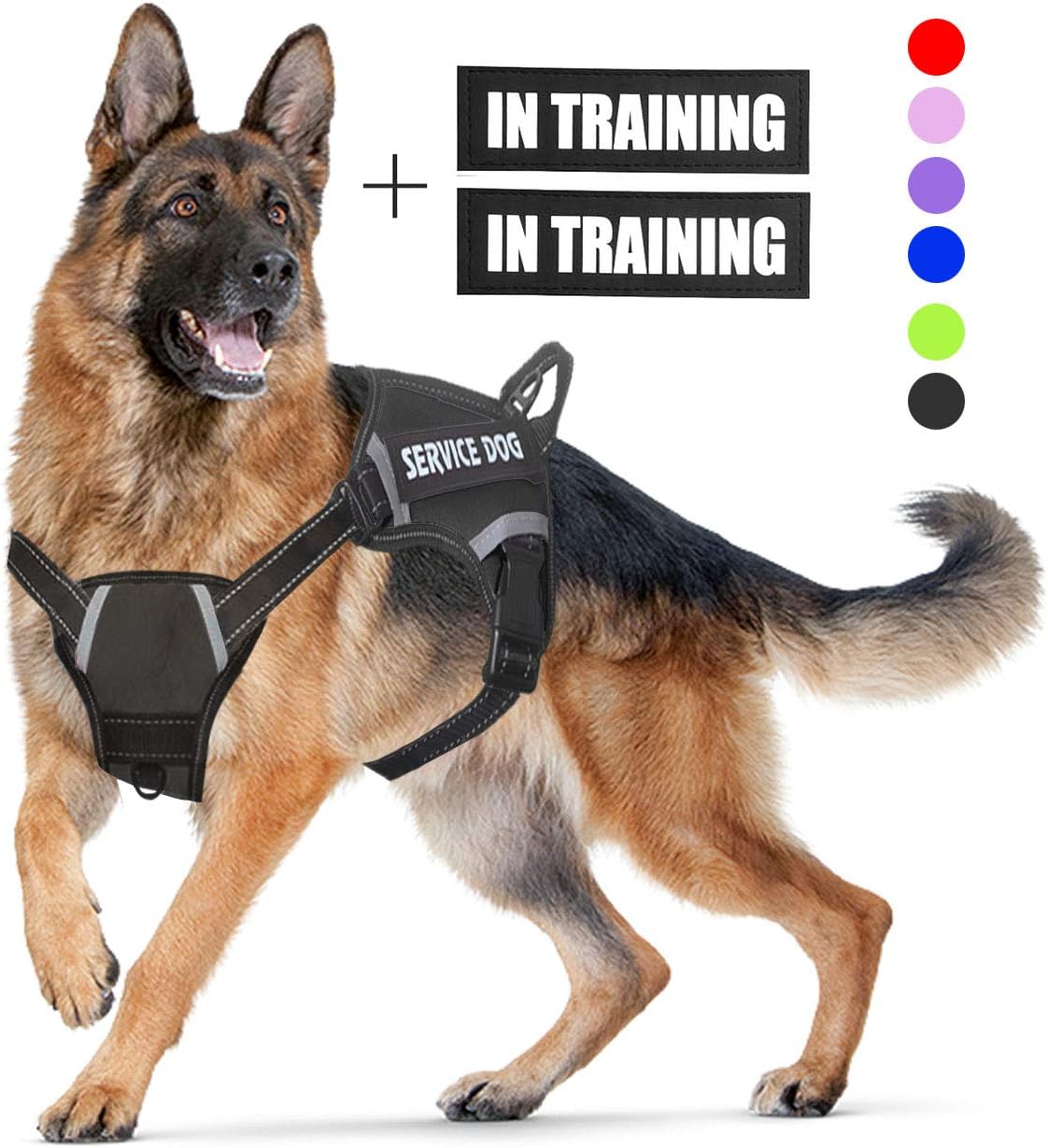 amazon service dog vest small