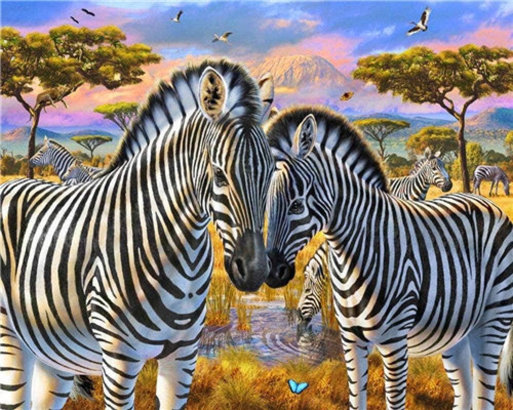 Oil painting set by numbers Paint by Numbers Kits Zebra DIY Number