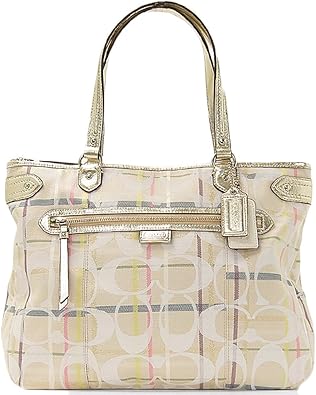 coach multicolor bag
