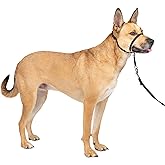 PetSafe Gentle Leader No Pull Dog Headcollar, Black, Medium | Veterinary Behaviorist-Designed No-Pull Headcollar Redirects Pulling Instinct, Padded Neoprene Nose Loop, Quick-Snap Fit