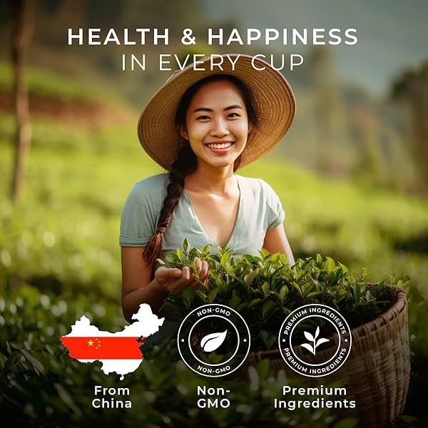 GYA TEA CO CLASSIC GREEN TEA POD (16 CT) – MILDLY CAFFEINATED TEA WITH MELLOW FLAVOR – KICKSTART THE DAY FOR CALMING & RELAXING