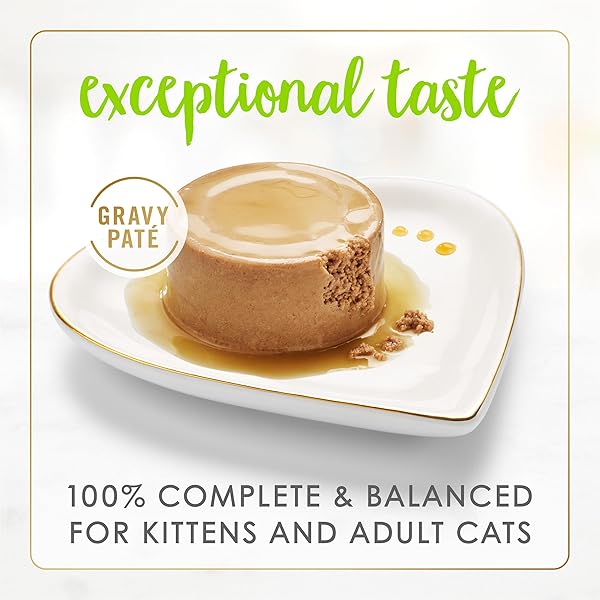 PURINA FANCY FEAST GRAVY LOVERS SALMON FEAST PATE IN WET CAT FOOD GRAVY – (PACK OF 24) 3 OZ. CANS