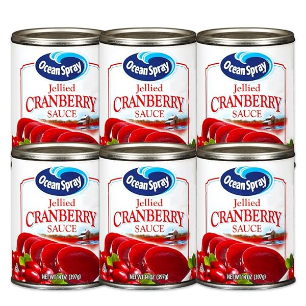OCEAN SPRAY, JELLIED CRANBERRY SAUCE, 14 OUNCE (PACK OF 6)