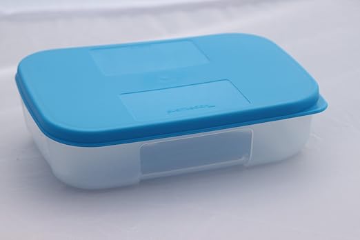 Tupperware nevera-sistema 300 ml lata rectangular con tapa: Amazon ...