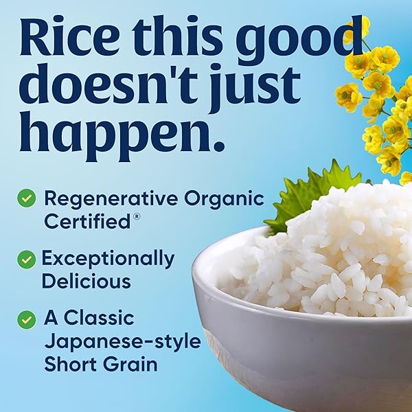 LUNDBERG ORGANIC CALIFORNIA SUSHI RICE – SHORT GRAIN RICE, WHITE JAPANESE-STYLE STICKY RICE FOR PERFECT SUSHI ROLLS, RICE BOWLS, AND MOCHI, WHITE RICE GROWN IN CALIFORNIA, 32 OZ