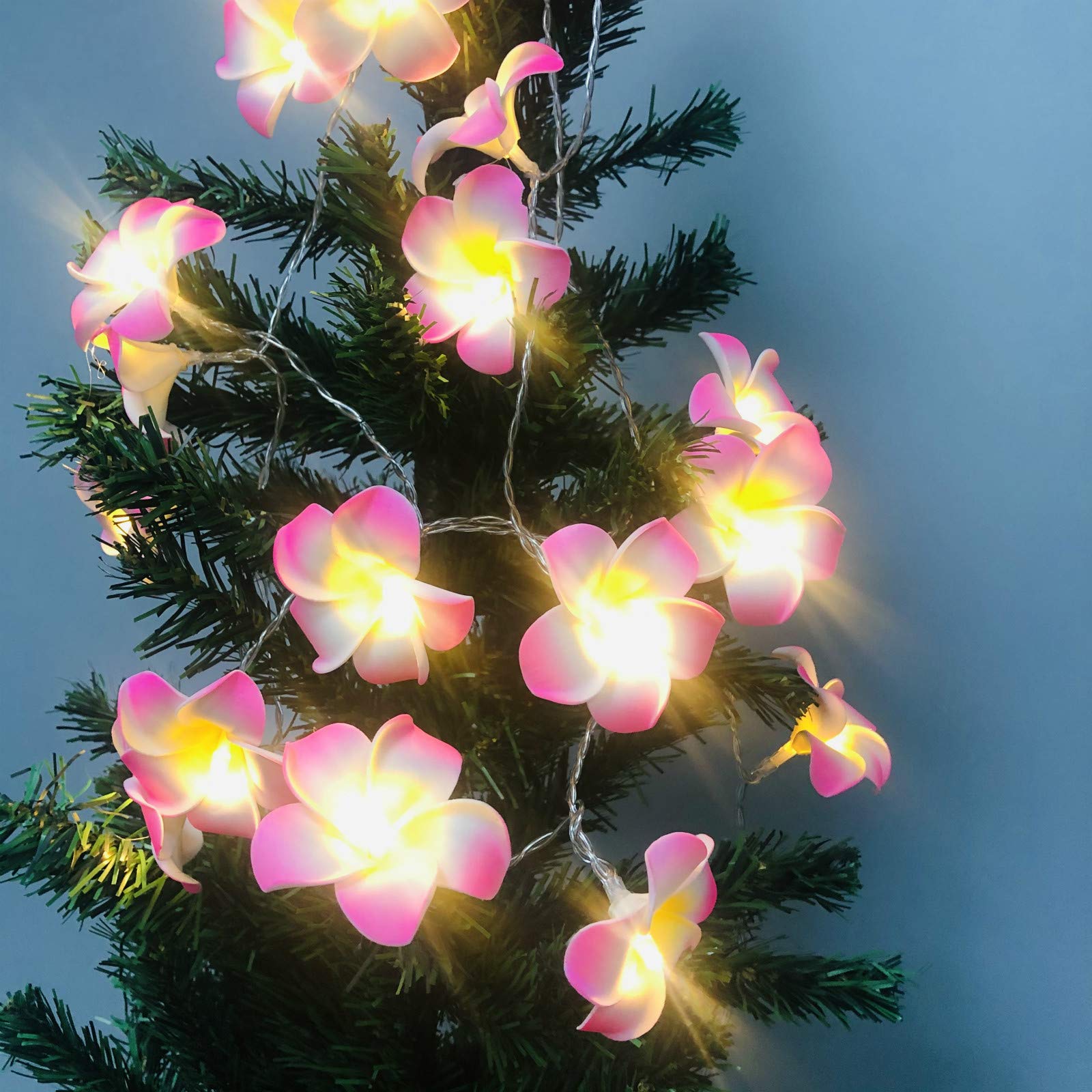 YOLIGHT Artificial Plumeria String Lights, Foam Frangipani Led Fairy Lights Battery Operated Egg Flower Lights for Bedroom Home Wedding Hawaiian Beach Party Hair Decor (Frangipani-Pink, 19.7FT/40LED)