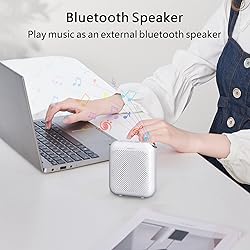 Norwii Bluetooth Voice Amplifier, Power