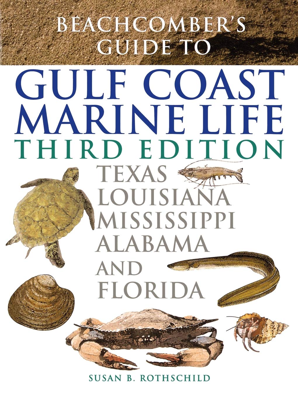 texas gulf coast living on Beachcomber S Guide To Gulf Coast Marine Life Texas Louisiana Mississippi Alabama And Florida Rothschild Susan B Fotheringham Nick 9781589790612 Amazon Com Books