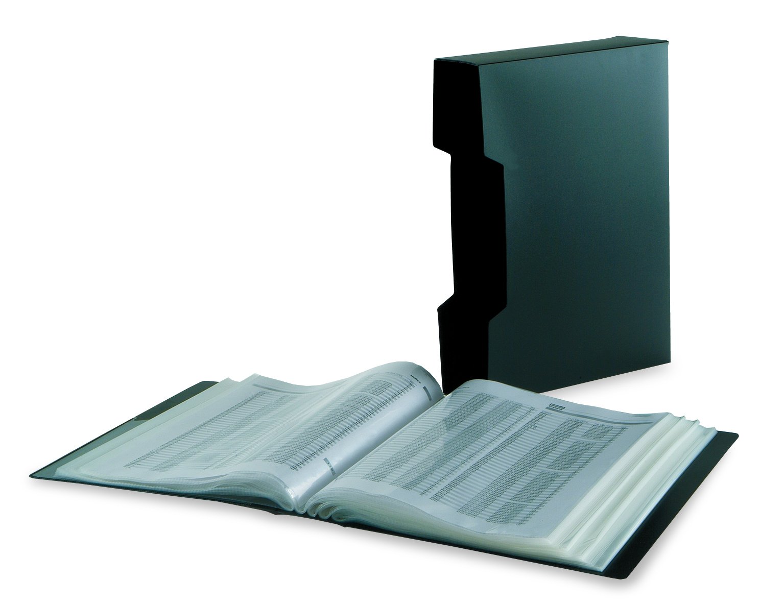 Carpeta con 80 fundas con caja funda antirreflejo A4 negro Fellowes