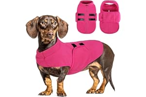 Queenmore Soft Fleece Dog Jacket, Warm Winter Dog Clothes with Leash Hole, Dachshund Sweaters for Small Dogs Cats Boy or Girl (Pink, S)