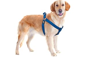 KRUZ PET Kruz No Pull Dog Harness (Chest 30”-44”, Weight 66-176 lbs) Heavy-Duty Pet Harness for Large Breeds, Ultra-Comfort Fit, Lifetime Durability, Adjustable Dog Harness No Pull Design (Blue, X-Large)