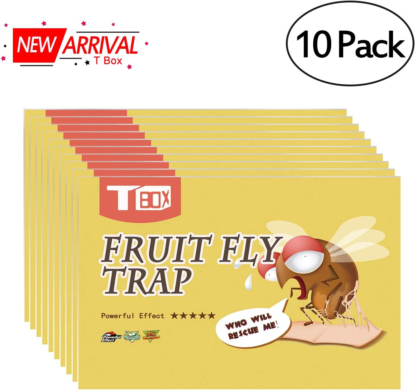 Best Fruit Fly Traps For Kitchen Counter